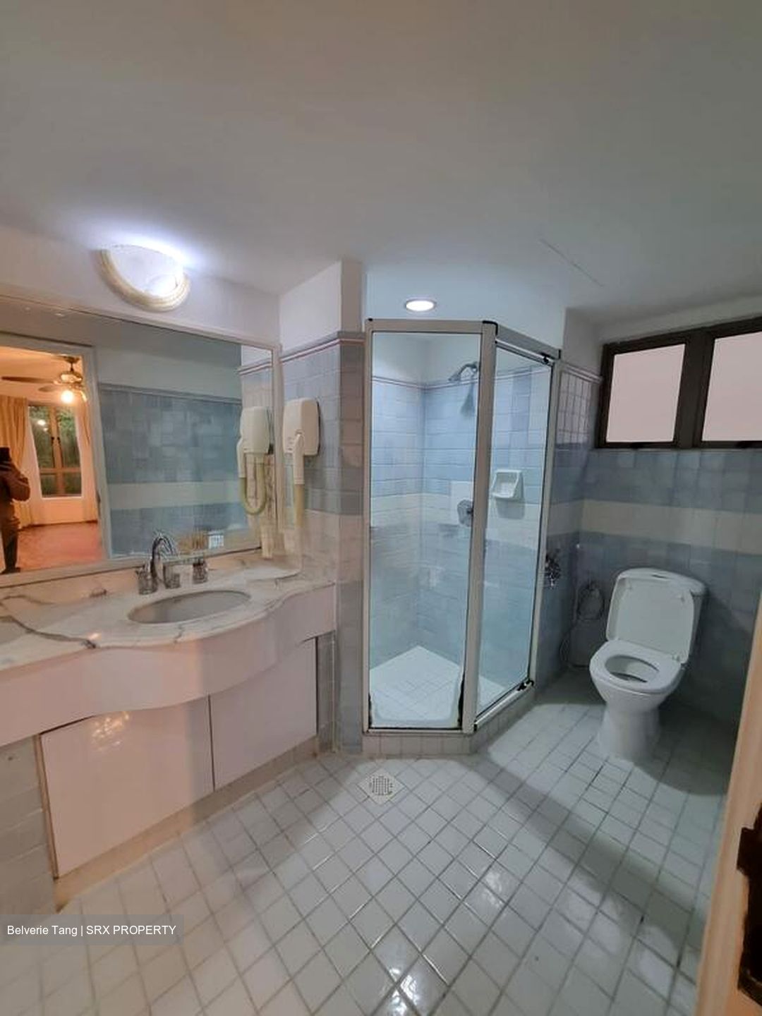 Cavenagh Lodge (D9), Apartment #601955861